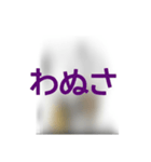 撮り鉄誤字＆名言スタンプ4（個別スタンプ：19）