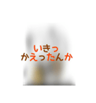 撮り鉄誤字＆名言スタンプ4（個別スタンプ：22）
