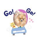ポメラニアンわさびチャン2（個別スタンプ：8）