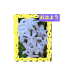 花咲いたよ（個別スタンプ：13）