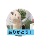太郎ちゃんの日常バージョン3（個別スタンプ：1）