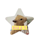 太郎ちゃんの日常バージョン3（個別スタンプ：2）