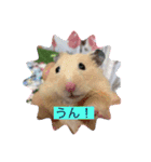 太郎ちゃんの日常バージョン3（個別スタンプ：4）