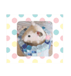 太郎ちゃんの日常バージョン3（個別スタンプ：6）