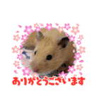 太郎ちゃんの日常バージョン3（個別スタンプ：21）