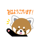 レッサーパンダ風太くん（個別スタンプ：1）