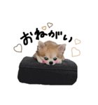 チョコすたんぷ‪‪☺︎‬（個別スタンプ：4）