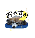 チョコすたんぷ‪‪☺︎‬（個別スタンプ：10）