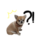 チョコすたんぷ‪‪☺︎‬（個別スタンプ：11）