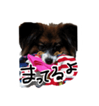 チョコすたんぷ‪‪☺︎‬（個別スタンプ：12）