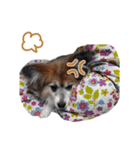 チョコすたんぷ‪‪☺︎‬（個別スタンプ：14）
