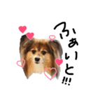 チョコすたんぷ‪‪☺︎‬（個別スタンプ：16）