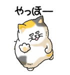 猫大好き！（大）その6b(三毛）（個別スタンプ：3）