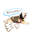 アメコカちゃん【関西弁】（個別スタンプ：9）