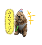 アメコカちゃん【関西弁】（個別スタンプ：17）