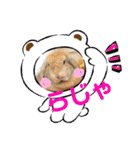 うさぎのしんしん 大阪弁スタンプ（個別スタンプ：4）