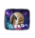 うさぎのしんしん 大阪弁スタンプ（個別スタンプ：9）