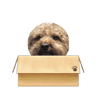 かわいすぎるーーーーーーーーーーーー（個別スタンプ：6）
