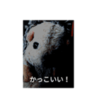 おもしろいスタンプな（個別スタンプ：7）