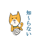 柴犬の鬼平（個別スタンプ：1）
