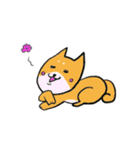 柴犬の鬼平（個別スタンプ：4）