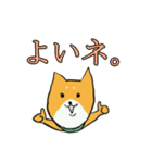 柴犬の鬼平（個別スタンプ：6）