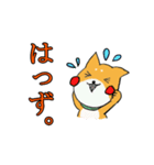 柴犬の鬼平（個別スタンプ：7）