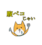 柴犬の鬼平（個別スタンプ：8）