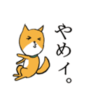 柴犬の鬼平（個別スタンプ：12）