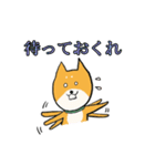 柴犬の鬼平（個別スタンプ：14）