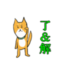 柴犬の鬼平（個別スタンプ：16）