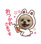 レオ、リリー ポメラニアン（個別スタンプ：7）