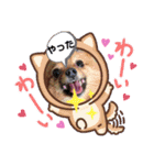 レオ、リリー ポメラニアン（個別スタンプ：18）