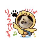 レオ、リリー ポメラニアン（個別スタンプ：23）