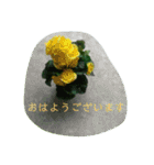 花の写真で日常挨拶 日本語と英語で（個別スタンプ：4）