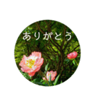 花の写真で日常挨拶 日本語と英語で（個別スタンプ：9）