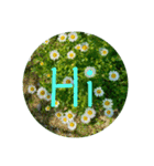 花の写真で日常挨拶 日本語と英語で（個別スタンプ：23）
