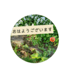 花の写真でよく使う言葉 敬語と日常（個別スタンプ：2）