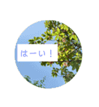 花の写真でよく使う言葉 敬語と日常（個別スタンプ：7）