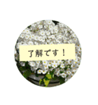 花の写真でよく使う言葉 敬語と日常（個別スタンプ：10）