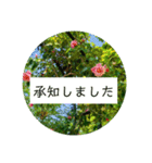 花の写真でよく使う言葉 敬語と日常（個別スタンプ：12）