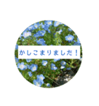 花の写真でよく使う言葉 敬語と日常（個別スタンプ：14）
