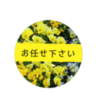 花の写真でよく使う言葉 敬語と日常（個別スタンプ：15）