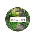 花の写真でよく使う言葉 敬語と日常（個別スタンプ：25）