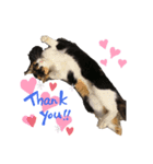 ♡かわいい家族たち♡（個別スタンプ：3）