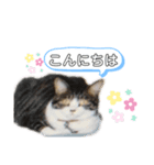 ♡かわいい家族たち♡（個別スタンプ：6）