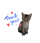 ♡かわいい家族たち♡（個別スタンプ：7）