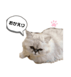 ♡かわいい家族たち♡（個別スタンプ：8）