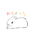 うさぎのいる日常。（個別スタンプ：1）