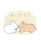 うさぎのいる日常。（個別スタンプ：4）